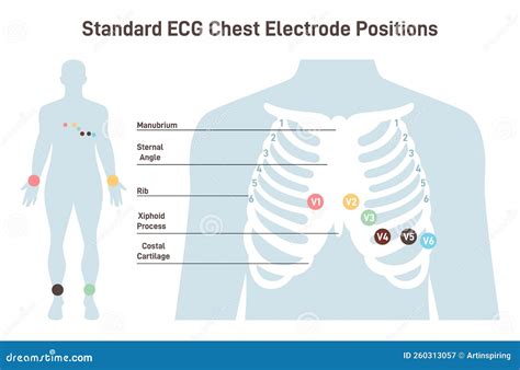 Ecg Stickers