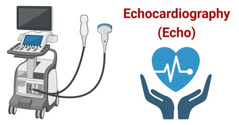 Echo Machine
