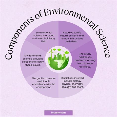 Ecosystem Of Environmental Studies