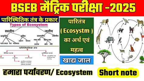 Ecosystem Of Hindi