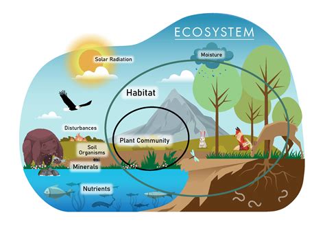 Ecosystem Of Us