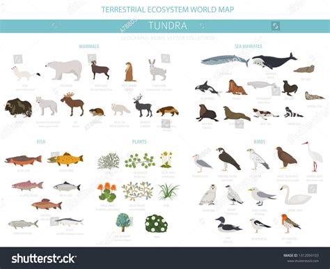 Ecosystem Of World