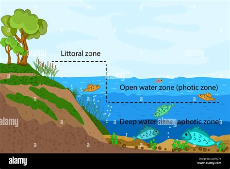 Ecosystem Zones