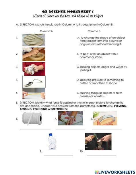 Effects Of Force Worksheet