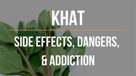 Effects Of Khat