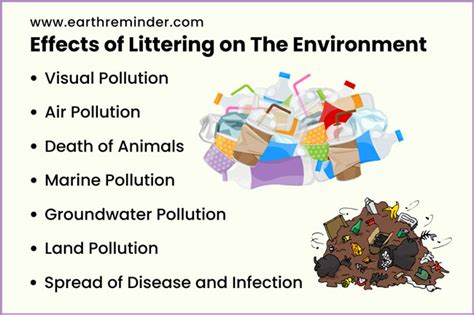 Effects Of Littering
