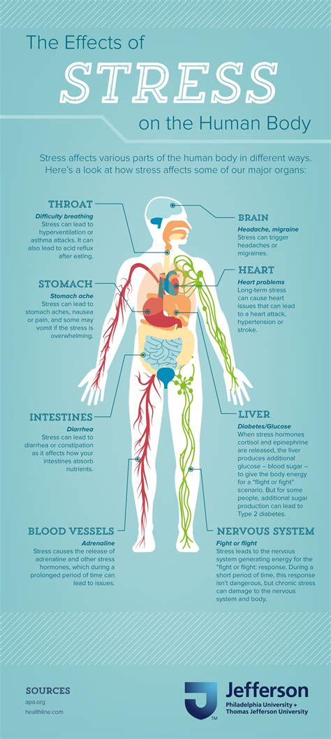 Effects Of Stress On Human Body