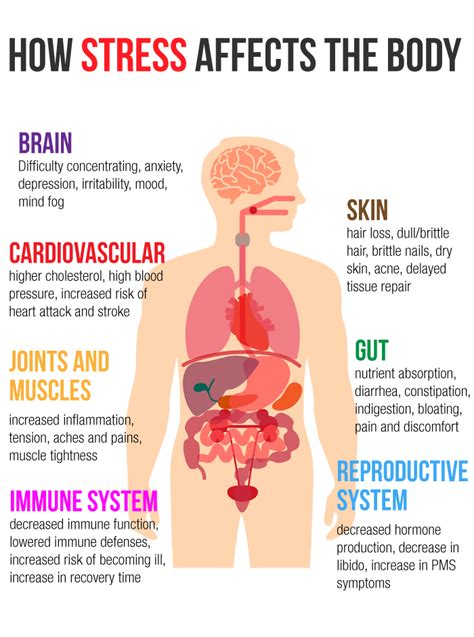 Effects Of Stress