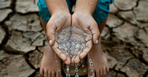 Effects Of Water Crisis