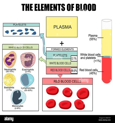 Elements Of Blood
