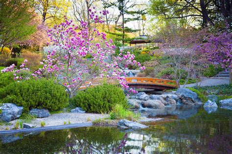 Elements Of Japanese Garden