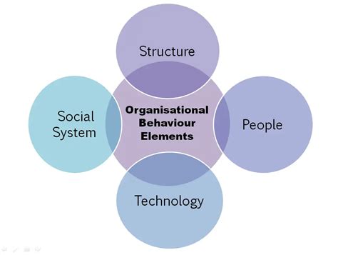Elements Of Organisational Behaviour
