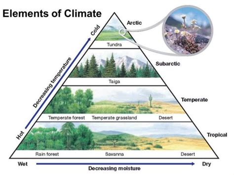 Elements Of Weather And Climate