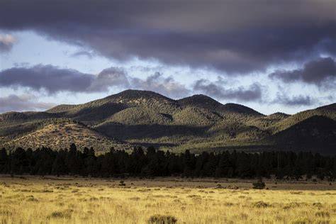 Elevation Of Williams Az