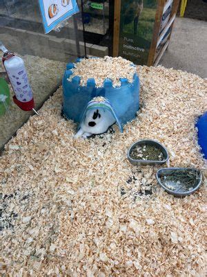 Elliots Pets Riverside