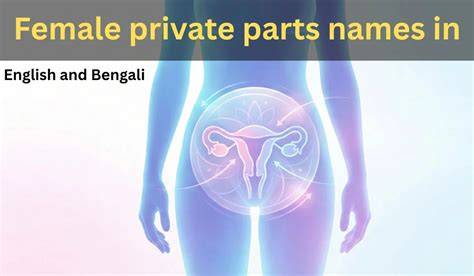 Emoji For Female Private Parts