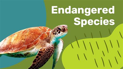 Endangered In German