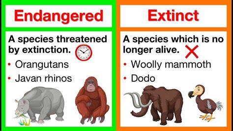 Endangered In Marathi Meaning