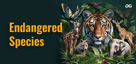 Endangered In Sentence