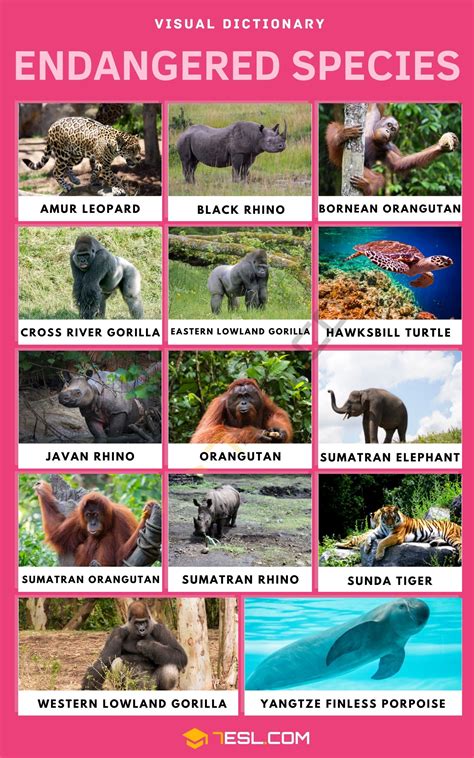 Endangered Pronunciation In English