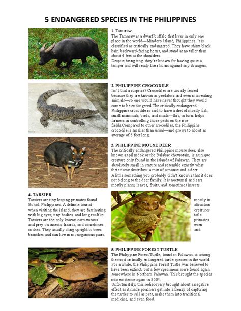 Endangered Reptiles In The Philippines
