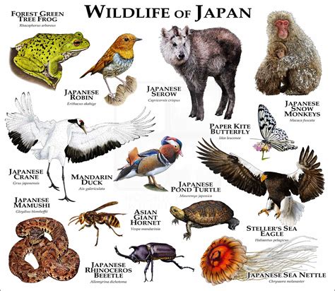 Endangered Species In Japan