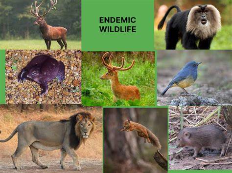 Endemic Species Of India Animals