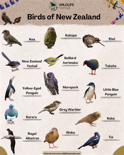Endemic To New Zealand Meaning