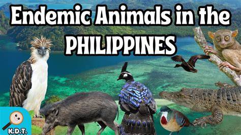 Endemic To Philippines