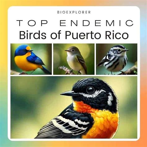 Endemic To Puerto Rico