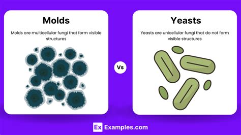 Endemic Yeast