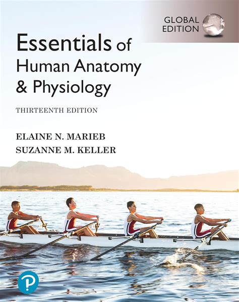 Essentials Of Human Anatomy And Physiology