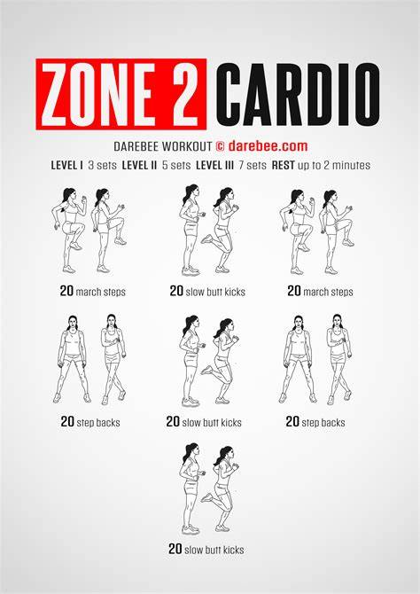 Examples Of Zone 2 Cardio