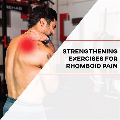 Exercise Rhomboid Muscle