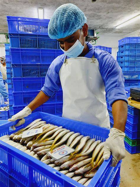 Export Of Fish