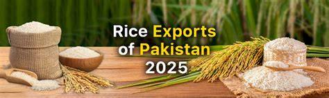 Export Of Rice From Pakistan