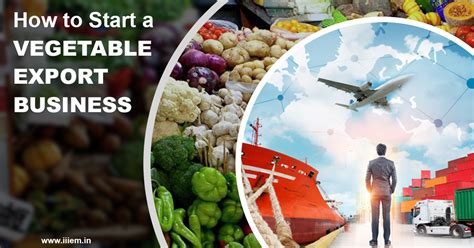 Export Of Vegetables From India