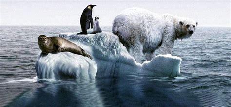Extinction Of Animals Due To Climate Change