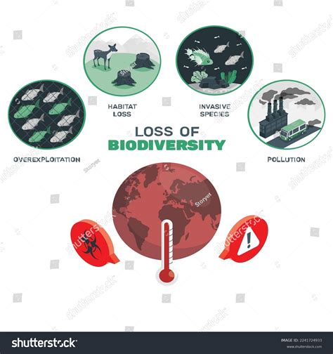 Extinction Of Biodiversity