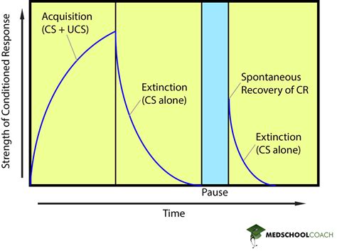 Extinction Of Conditioned Response