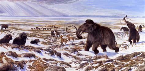 Extinction Of Ice Age
