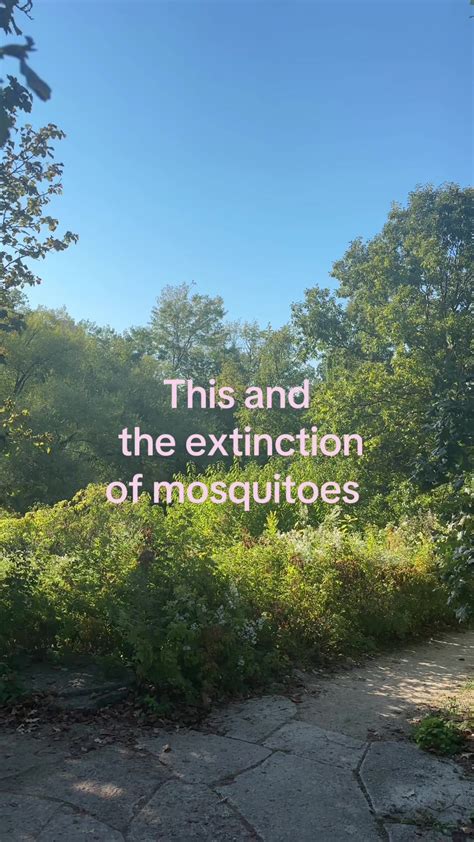 Extinction Of Mosquitoes