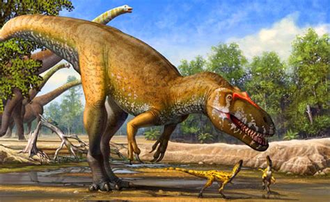 Extinction Of Non Avian Dinosaurs