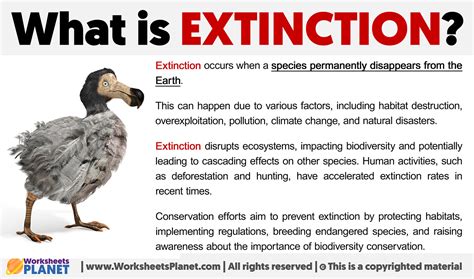 Extinction Of Price Meaning
