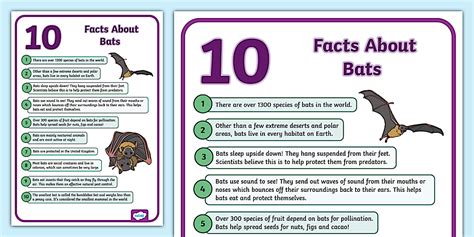 Facts About Bats