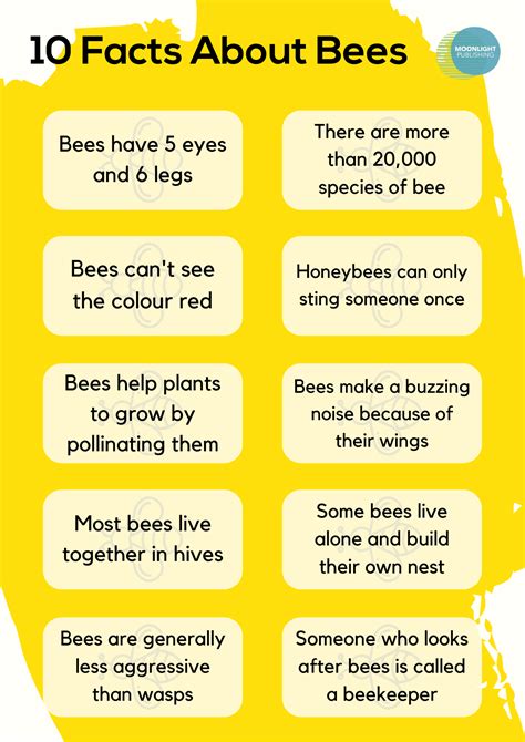 Facts About Bees