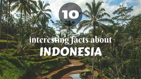 Facts About Indonesia