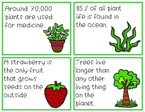 Facts About Plants