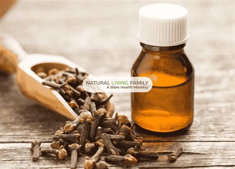 Family Of Clove