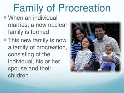 Family Of Procreation And Family Of Orientation